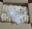 陈克明面条  非油炸波纹面家庭蛋面1.1kg 火锅面泡面鸡蛋挂面整箱 实拍图