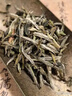 佰儒安溪铁观音乌龙茶清香型品鉴装8g尝鲜装茶叶自己喝 实拍图