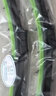 一途奥迪A4L专用无骨雨刮器奥迪A4L【09款-至今】雨刷雨刮原厂原车尺寸雨刷器（1对装）A级胶条 实拍图