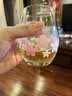 稼乐碧林碧林果汁 西梅汁100mL*24盒健康低脂浓缩果汁饮料年货整箱装年礼 实拍图