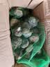 【东东买菜】新鲜马蹄荸荠当季现挖直发荸荠水果包邮脆甜多汁 新鲜马蹄 带箱2斤 实拍图