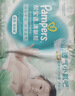 帮宝适夏季超薄超吸新清新帮纸尿裤XL38透气新生儿婴儿尿不湿尿布 实拍图