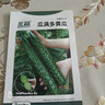 北蔬黄瓜种子苗老品种春季种密刺绿心蔬菜种籽 瓜满多大黄瓜种子100粒 晒单实拍图