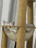 BOTH猫粮全阶段 挑嘴猫粮 海藻鱼油 鸭肉鱼肉猫粮15磅6.8kg 实拍图