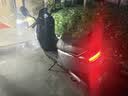 永久电动摩托车2025新款72V黑金石墨烯长续航NFC智能两轮电摩电动车 灰色/1800W/双碟刹 72V35A-全新黑金石墨烯-整车发货 实拍图
