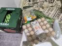 青萝卜约500g 实拍图