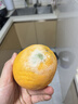 土八鲜湖北秭归伦晚脐橙纽荷尔鲜橙新鲜水果手剥甜橙礼盒 奋进橙9-10斤【单果150g+】 实拍图
