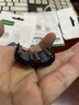 绿联抗干扰滤波磁环 内径7.3MM 卡扣式可拆卸防电磁屏蔽抗干扰 带磁芯消磁 20306 实拍图