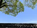 小熊（Bear）电炖锅 电炖盅 隔水炖锅 煲汤锅 炖汤盅 蒸锅 婴儿辅食锅煮粥锅燕窝炖盅隔水2-3人DDZ-D16C1 1.6L 实拍图