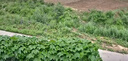 HIKVISION海康威视4g摄像头室户外终身免费充值无限流量1000万双摄监控器360度无死角无线联网无需WIFI 晒单实拍图