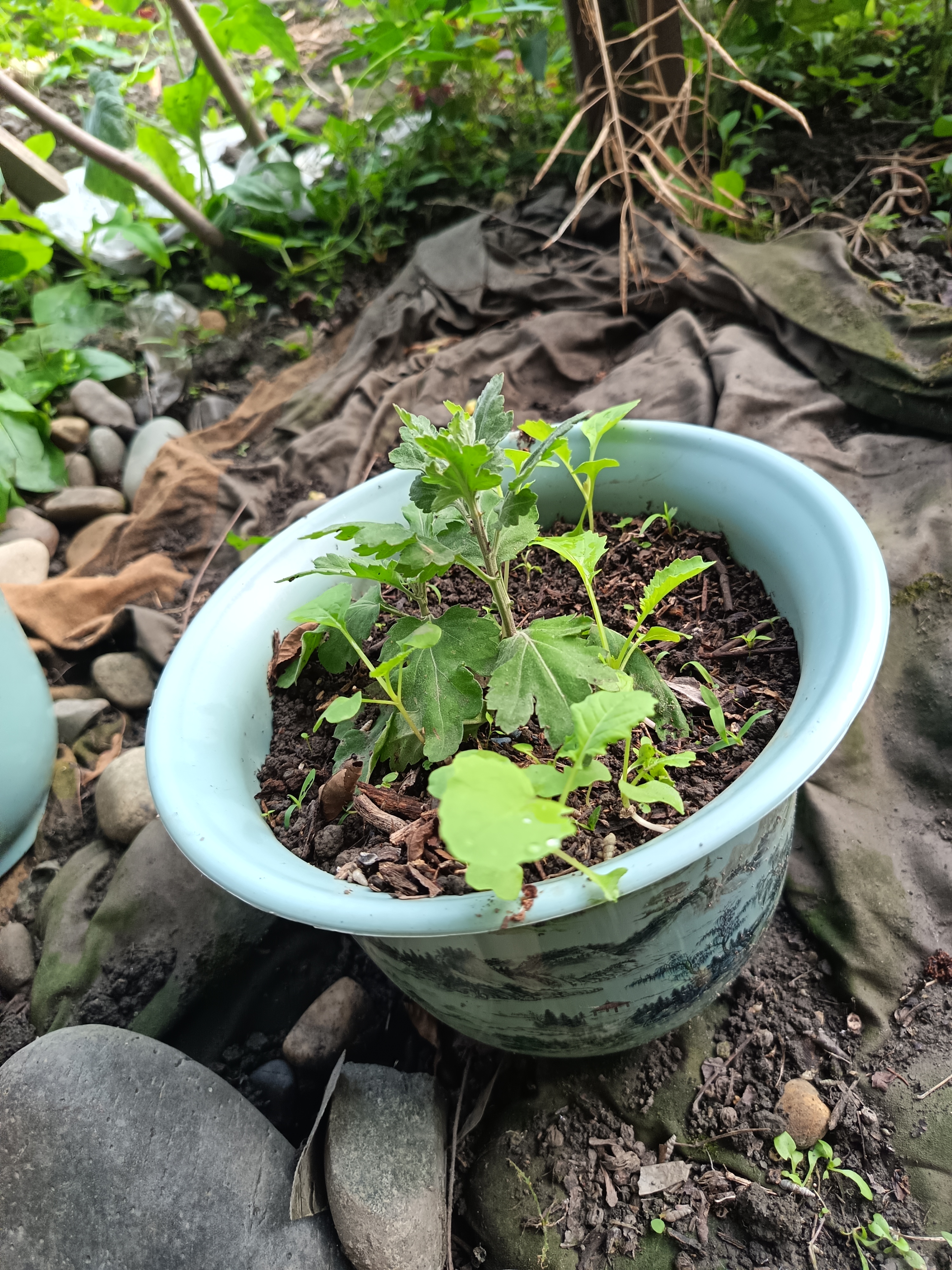九千谷花盆树脂 国风家用办公室阳台养花种植盆栽口径18山水花盆2个4442 实拍图