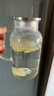 青苹果高硼硅耐热玻璃水壶1.6L 可明火直烧冷水壶花茶壶泡茶围炉煮茶壶 实拍图