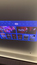 极米（XGIMI）Z9X 4K 旗舰版 全新轻薄4K光学变焦三色激光投影1500CVIA 哈曼卡顿家用智能云台投影仪 2026新款 实拍图