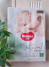 好奇（Huggies）心钻装小森林纸尿裤NB30(≤5kg)新生儿小号婴儿尿不湿极薄透气 晒单实拍图