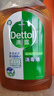 滴露（Dettol）消毒液250ml 衣物消毒水家居环境地板消毒 衣物除菌剂 灭活HPV16 实拍图