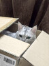 pidan混合豆腐猫砂 豆腐膨润土皮蛋猫砂除臭猫砂结团快 经典款2.4kg*4 实拍图