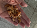 倾海之宴 金钩海米120g 虾仁干 淡干不咸大开洋虾米虾皮虾干 海产干货煲汤 实拍图