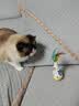 HELLOJOY猫咪不倒翁玩具羽毛逗猫棒球猫消耗体力自嗨解闷神器猫咪用品 实拍图