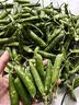 中鲜生 云南新鲜豌豆 甜豌豆新鲜蔬菜现摘豆角 净重4.5斤【好划算】鲜嫩饱满 实拍图