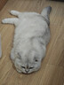华元宠具（hoopet）猫抓垫子猫抓板窝防猫抓沙发保护贴墙猫咪爪板耐磨不掉屑剑麻用品 实拍图