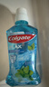李施德林 (Listerine) 漱口水 清凉口味清新口气 500mL  实拍图