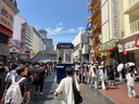 李宁运动裤男跑步速干裤子夏季宽松休闲长裤直筒裤打篮球健身训练卫裤 实拍图