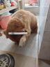HELLOJOY猫梳子狗毛梳子宠物排梳密齿梳猫咪跳蚤梳直排狗狗专用钢梳去虱子 实拍图