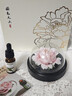 Para Ella永生花陶瓷牡丹生日礼物女朋友伴手礼妈妈结婚毕业退休520情人节 实拍图