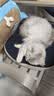 诚实一口P40全价猫粮 成猫幼猫80%高鲜肉长肉美毛养胃鸡鱼口味通用型400g 实拍图