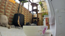 TELESIN(泰迅)大疆action6/5pro/4快拆背包夹nano gopro13肩带胸前固定insta360第一视角拍摄运动相机配件 实拍图