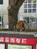 得力（deli）手提公文包女男士拉链袋文件袋办公会议收纳包电脑包资料包多功能公文包办公包 深灰BG199 实拍图
