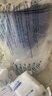 碧然德（BRITA）过滤净水器 家用滤水壶 净水壶 海洋系列 3.5L（蓝）+专家版滤芯5枚 环保加固包装 实拍图