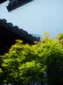 腾龙（Tamron）A063 28-75mm F/2.8 G2二代风光人像视频直播 腾龙28-75二代 全画幅微单相机镜头 28 75 索尼FE卡口 套餐二【送腾龙UV镜+D11摄影单肩包+清洁套装】 实拍图