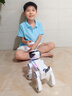 索迪（SODEEP）机器狗智能ai机器人婴幼儿童宝宝玩具男女孩生日1-3周2岁六一礼物 实拍图