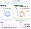 【宇哥指定店铺】张宇2027考研数学基础30讲+1000题 高等数学线性代数概率论张宇全家桶 启航教育书课包 【线代分册】2027张宇基础30讲（零基础） 实拍图