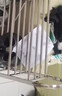 溢彩年华 加厚不锈钢鞋架多层简易鞋架子宿舍门口家用经济型收纳架1106-SR 实拍图