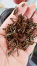 天之红红茶 祁门红茶叶新茶正宗蜜香祁红香螺250g 自己喝口粮茶 实拍图