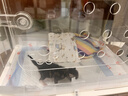 小熊（Bear）热水袋2025年新品暖水袋充电热暖宝女生毛绒电热宝暖手宝暖宫 【长效保温 可拆布套】杏黄 实拍图