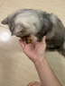 红狗猫用维生素软颗粒6g尝鲜装猫咪维生素猫用维生素宠物猫藓8合1配方 实拍图
