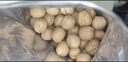 西域美农温宿185纸皮核桃500g 新疆坚果手捏开壳休闲零食 当季新货 实拍图
