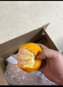 福东海 甘草金桔干500克【A+级大果】蜜饯即食果脯润清喉咙痰咳休闲零食 实拍图