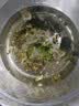 裙带菜虾皮汤免煮营养美味便捷紫菜蛋花汤正宗馄饨汤料包独立包装 5g*30袋 实拍图