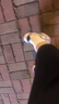 阿迪达斯 adidas三叶草  samba T头鞋运动鞋男女休闲鞋B75806 38 实拍图