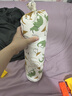 babycare婴儿安抚枕头宝宝多功能抱枕透气枕头6月-6岁-比奇角恐龙39*12cm 实拍图