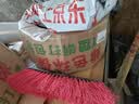 LINGS PET塑钢打包带 绿色1608 重10kg长约650m 捆绑带手工包装带 打包塑料带捆扎带 实拍图