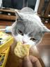 奥力给黄油猫酪饼咖啡味240g盒装小猫造型 酥脆饼干儿童早餐休闲零食 实拍图