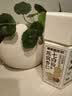 老金磨方红参枸杞七红粉红枣阿胶粉红豆五红粉早餐代餐粉500g 实拍图