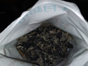 十月稻田 东北黑木耳 500g 干木耳 黑龙江东宁特产 肉厚无根 火锅煲汤炒菜 实拍图