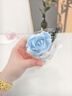 皓梵洁迷你小花束口袋花束见面520礼物手捧花鲜花玫瑰永生花小花假花 幽蓝绮梦 实拍图