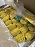 佳沛（zespri）新西兰 阳光金果25-27粒原箱特大果单果124-146g 猕猴桃水果礼盒 实拍图